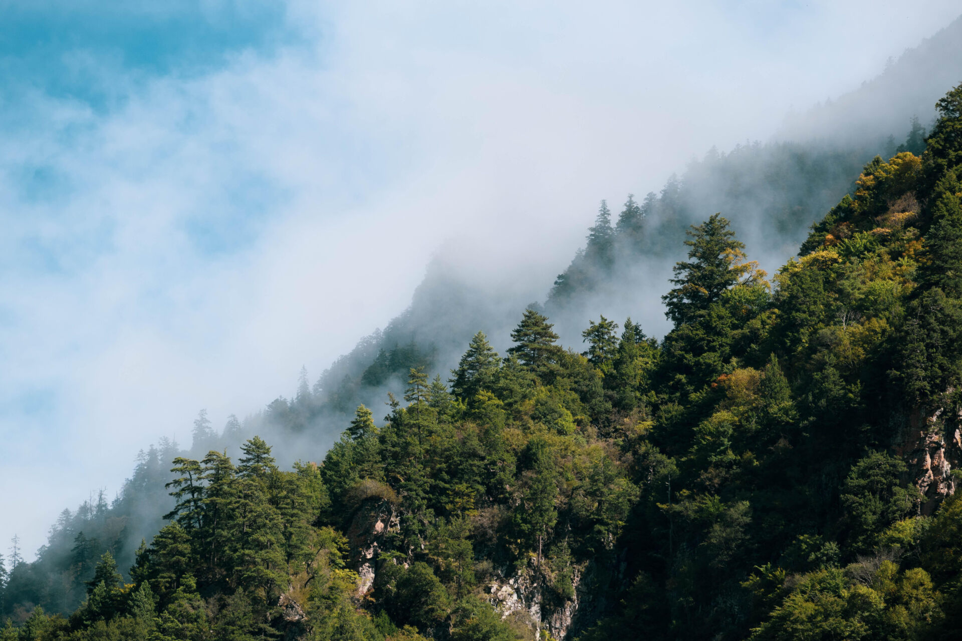 Sito web o sito internet 1 sito internet siti internet siti web